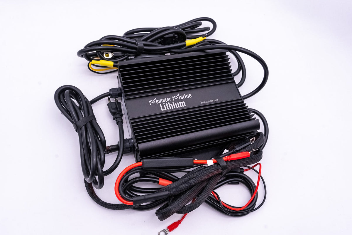 36v DYNO4 Dynamic Charger
