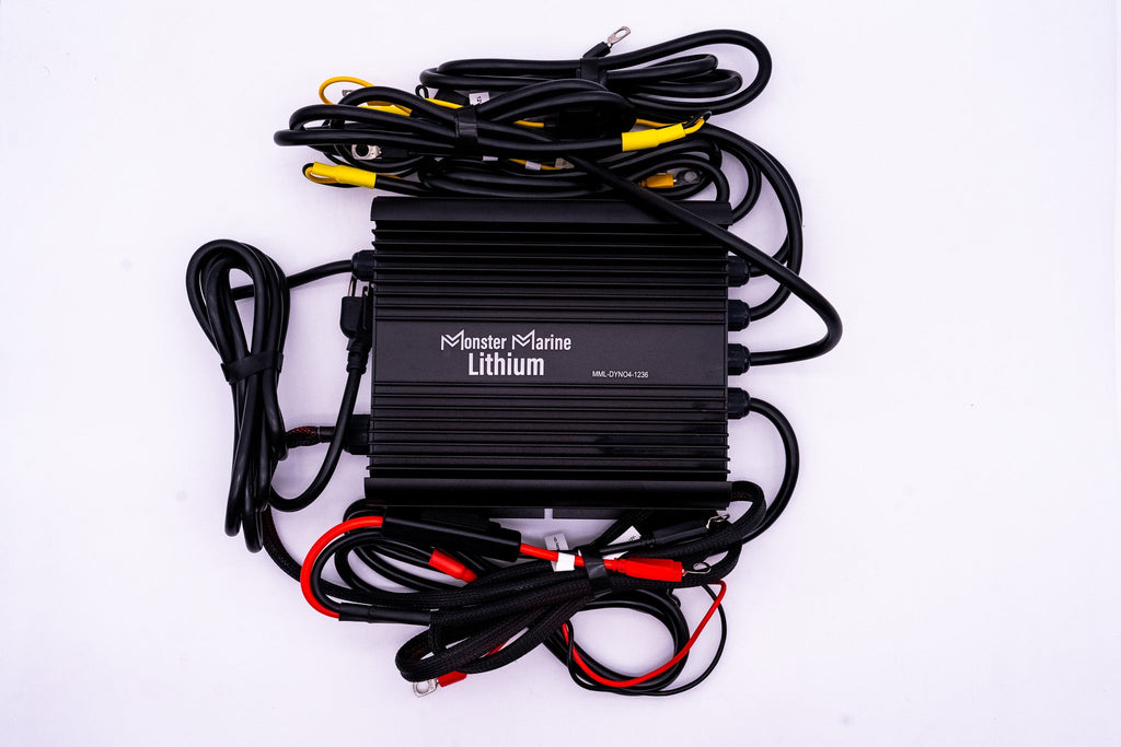 36v DYNO4 Dynamic Charger