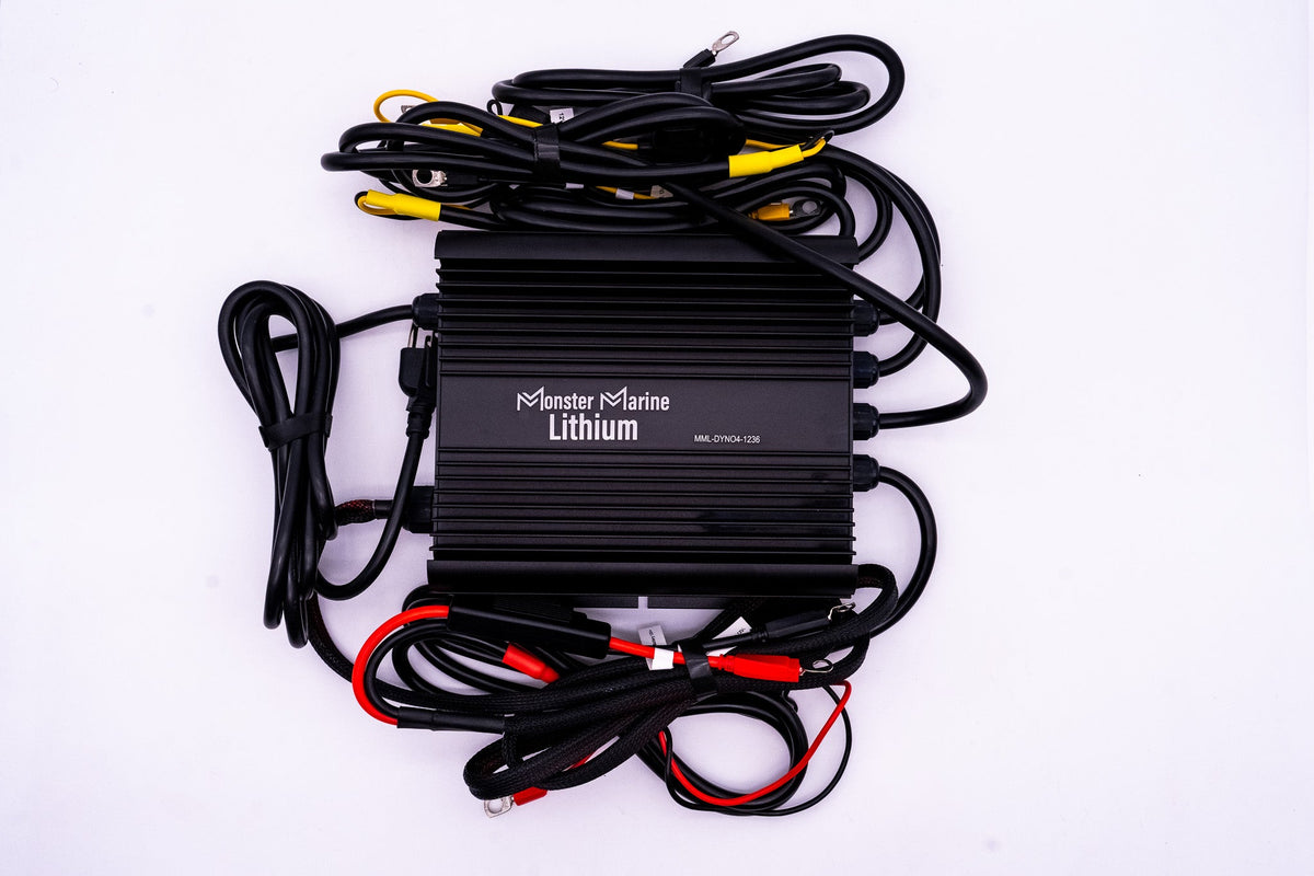 36v DYNO4 Dynamic Charger