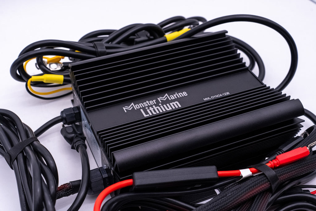 36v DYNO4 Dynamic Charger