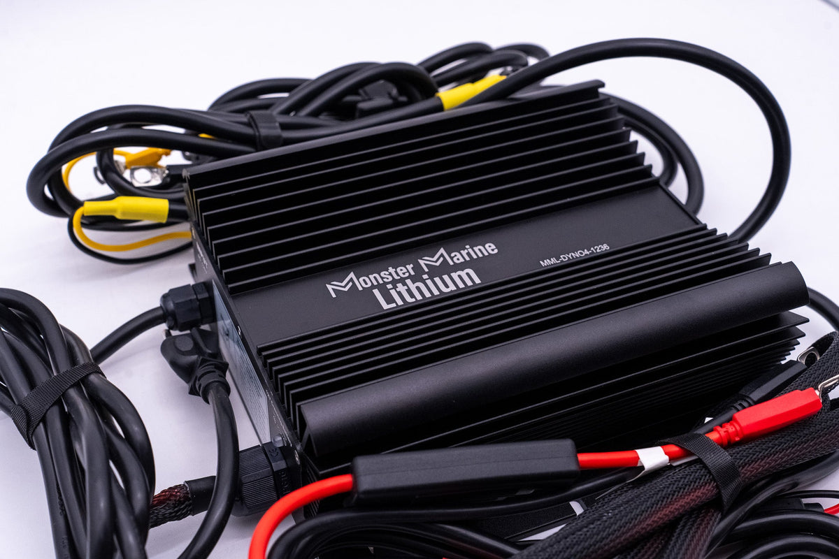 36v DYNO4 Dynamic Charger